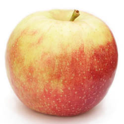 MI APPLES, JONAGOLD, IPM, BUSHEL, (37 - 40 LB)
