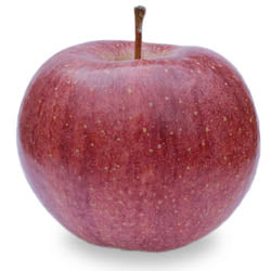 MI APPLES, CAMEO, IPM, BUSHEL, (38 - 40 LB)