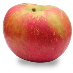MI APPLES, HONEYCRISP, IPM, BUSHEL, (37 - 40 LB)