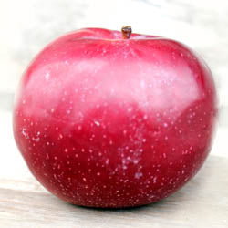 MI APPLES, EMPIRE, IPM, BUSHEL, (36 - 40 LB)