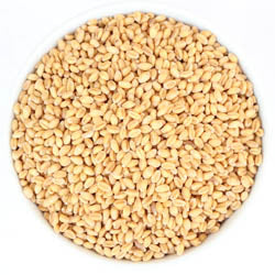 Soft White Wheat Berries, Organic, 9 LB