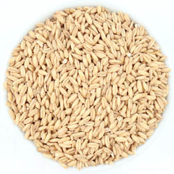 OAT GROATS, WHOLE          50 LB