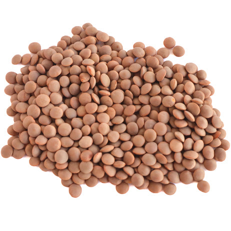 LENTILS, BROWN, ORGANIC    25 LB