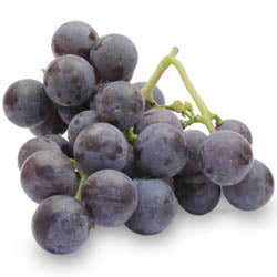 CONCORD GRAPES, (ORCHARD RUN) IPM, HALF BUSHEL, 20-25 LB