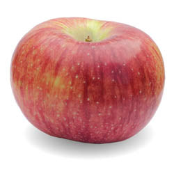 CORTLAND APPLES, IPM, BUSHEL, 37 - 40 LB